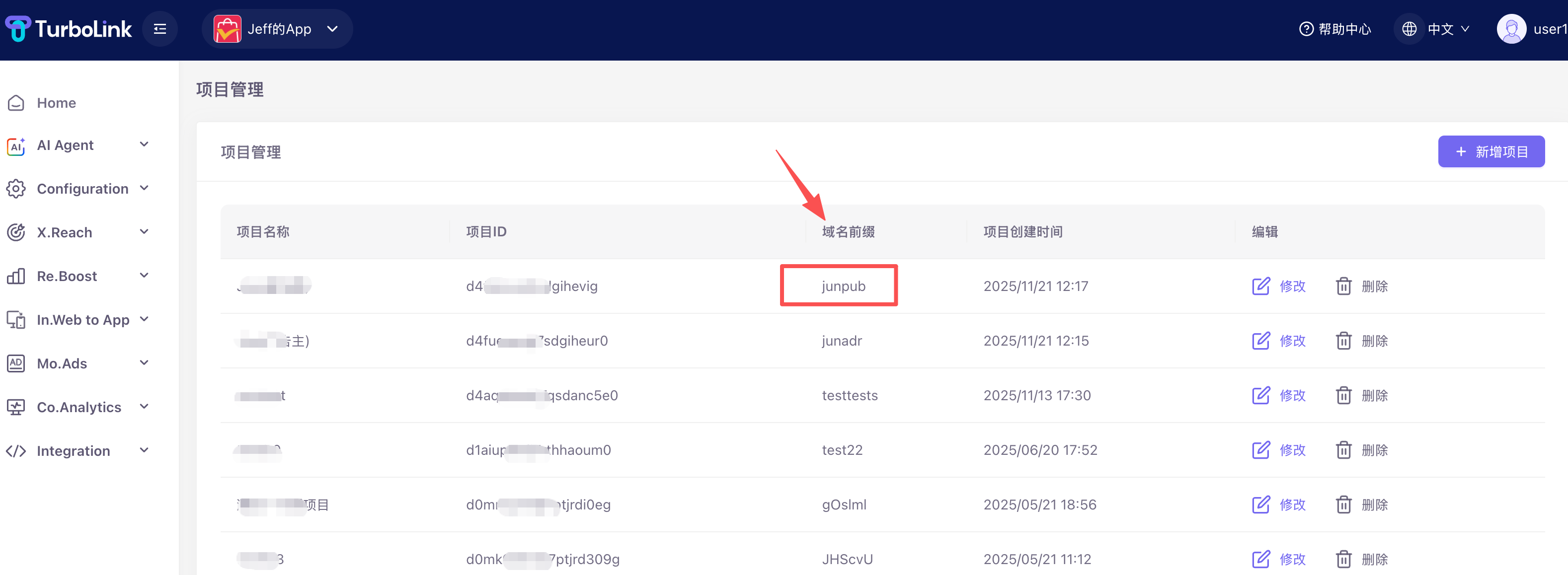 projectDomain2